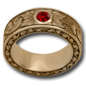 Eternal Spring Ring etched in 14k Gold