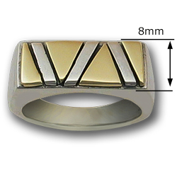Pride Ring in White & Yellow 14k Gold