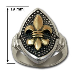 Fleur-de-lis Design (Sm) in Silver & 14k Gold