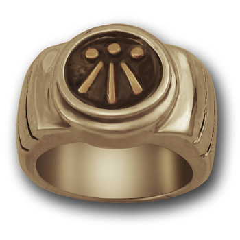 Awen Ring in 14k Gold