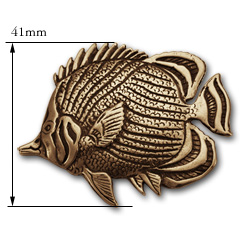 Butterflyfish Pin in 14K Gold