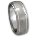 Titanium Ring w/ Platinum Inlays